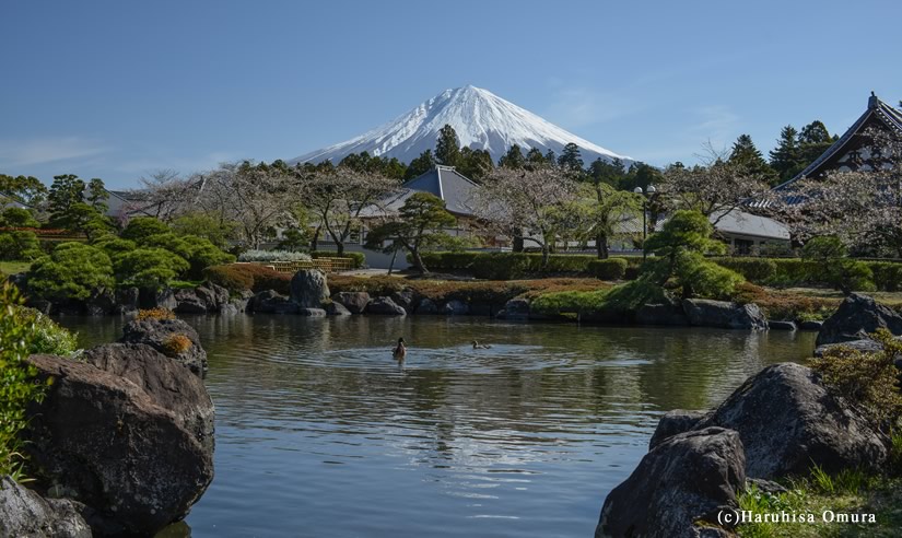 お寺と富士山