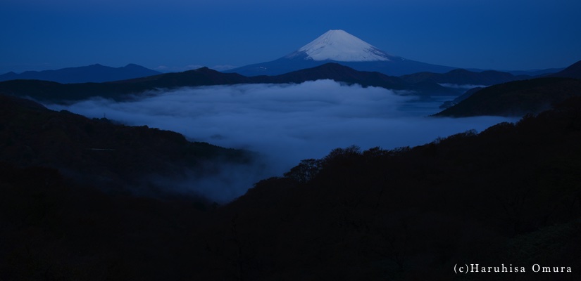 瑠璃色の夜明け