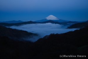 瑠璃色の夜明け