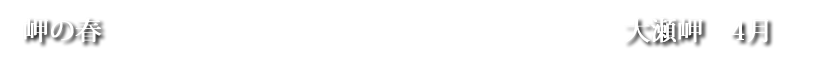 岬の春