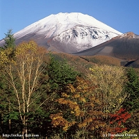 山粧う