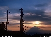 夏野の光