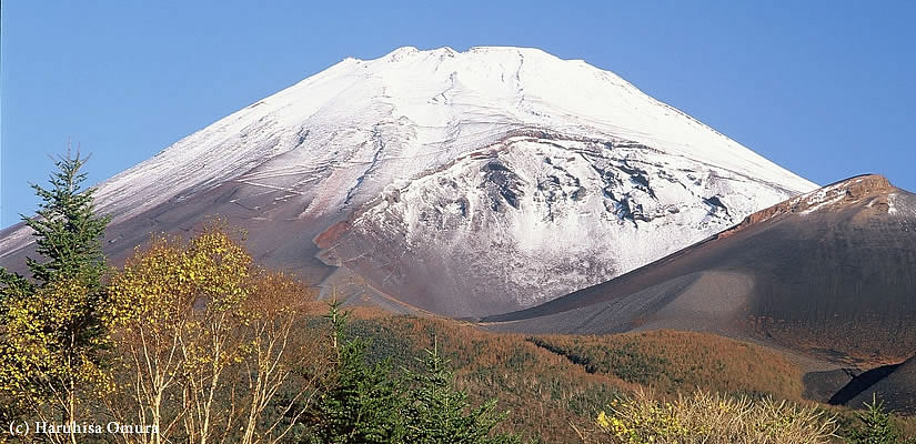 山粧う