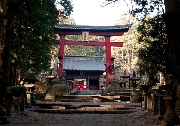 門