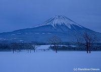 snow blue