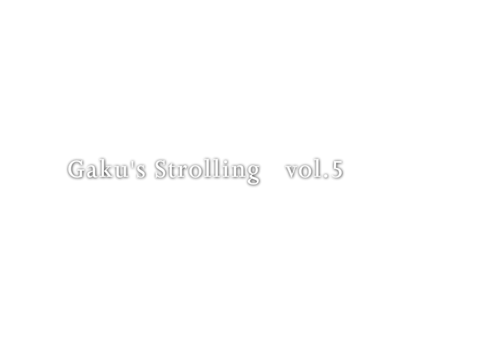 Gaku's Strolling